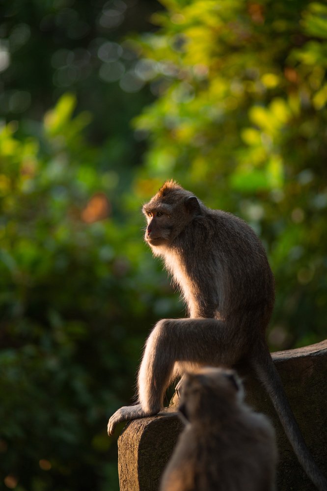 Photograph by Looufen