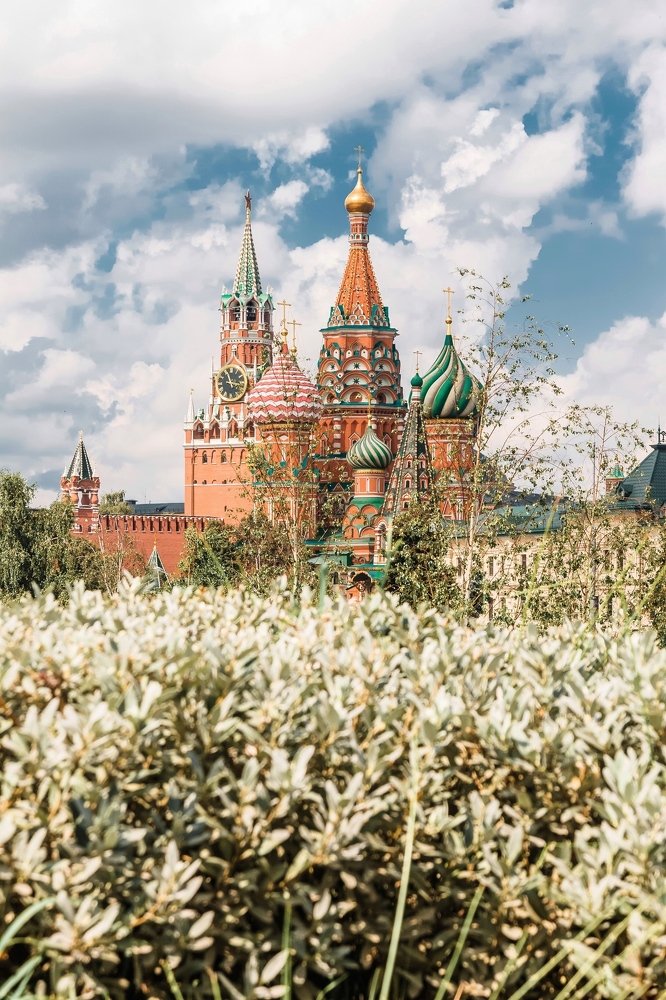 Фотография автора Михаил Яшин