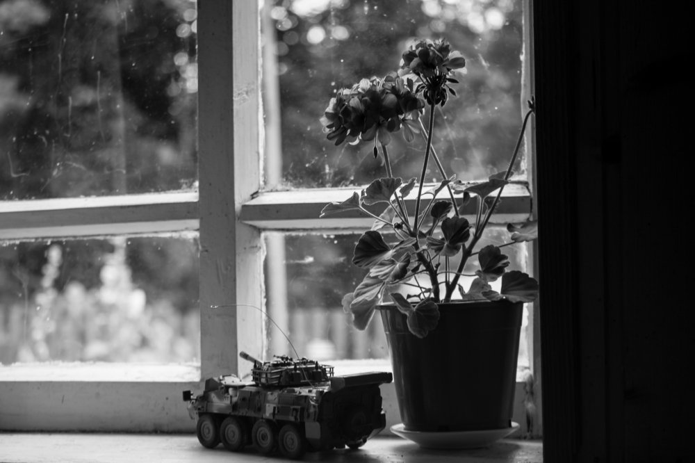 Photograph by Марина Колпакова