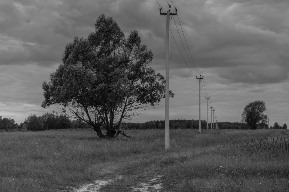 Photograph by Марина Колпакова