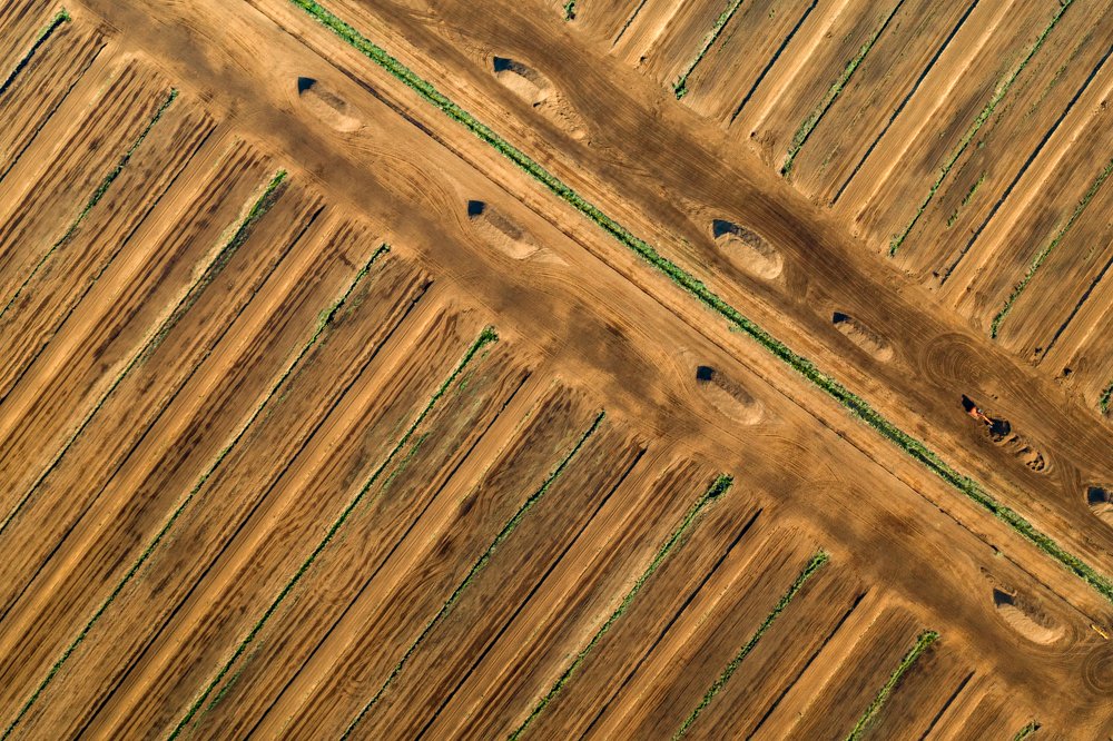 Photograph by Gatis Vilbrants