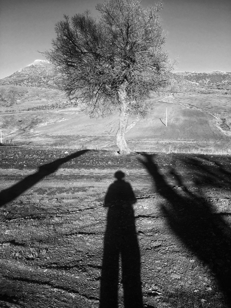 Photograph by Monib Hosseini