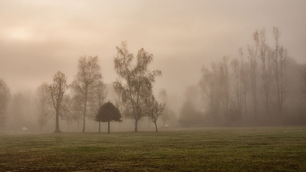 Photograph by zause01