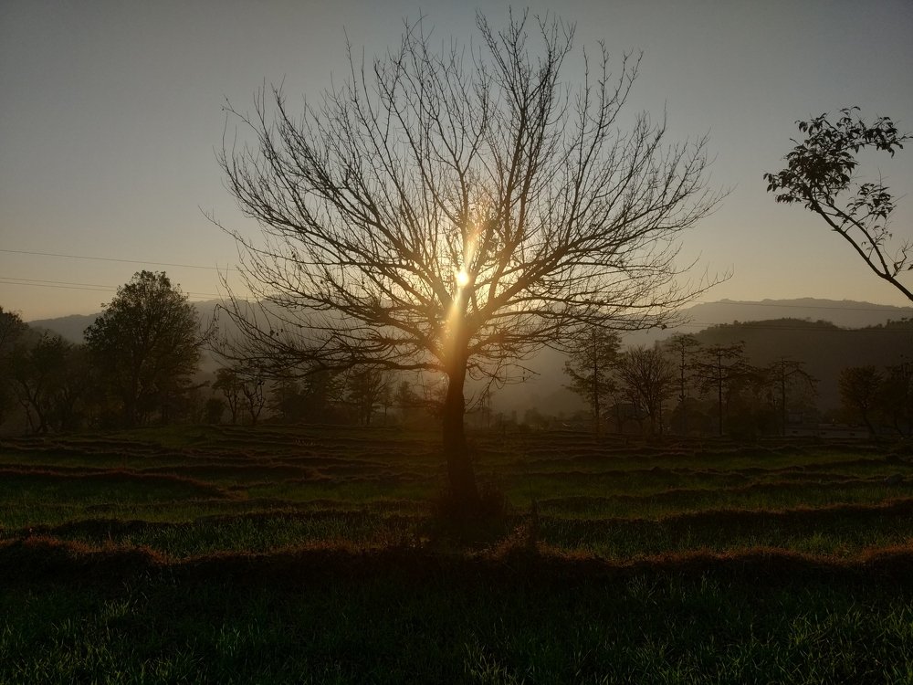 Sun Captured
