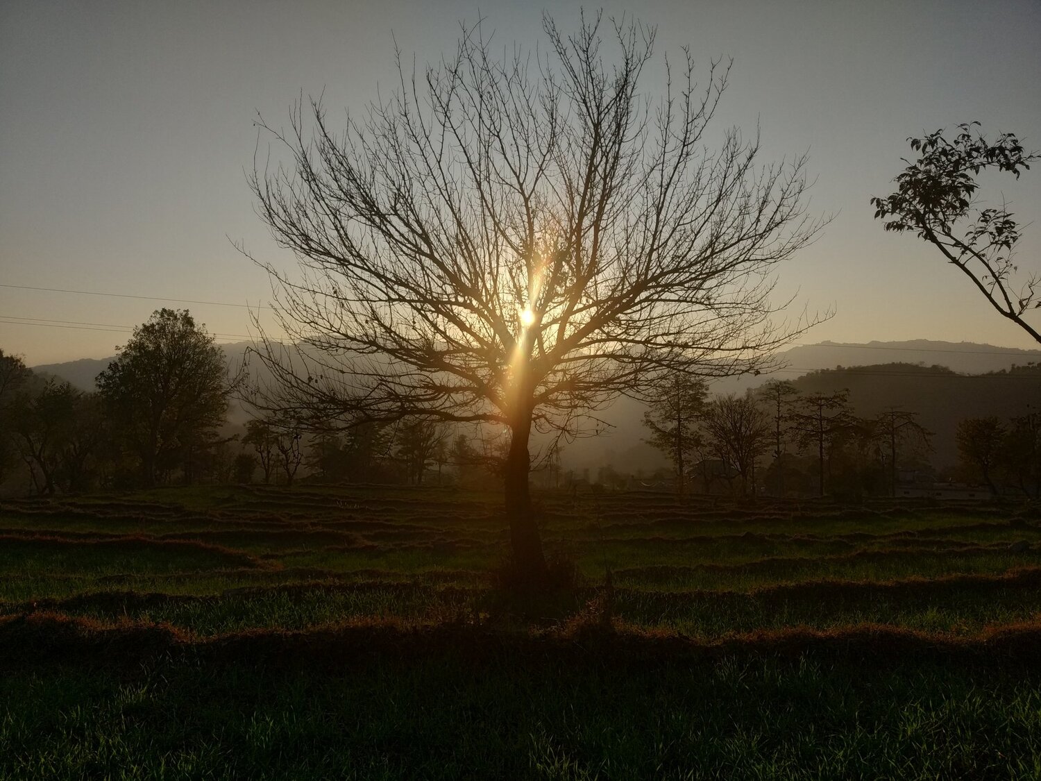 Sun Captured