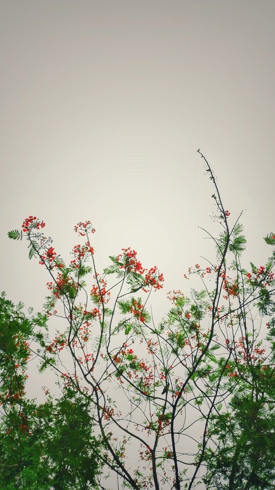 The sky was cloudy!