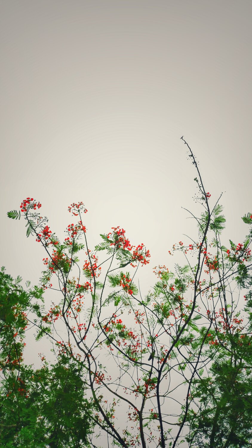 The sky was cloudy!