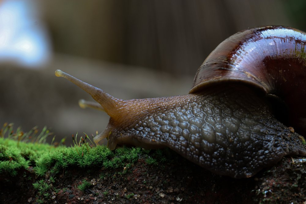 Photograph by Roshan Thangarajah