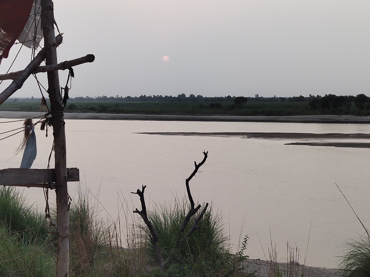 Photo #4074918