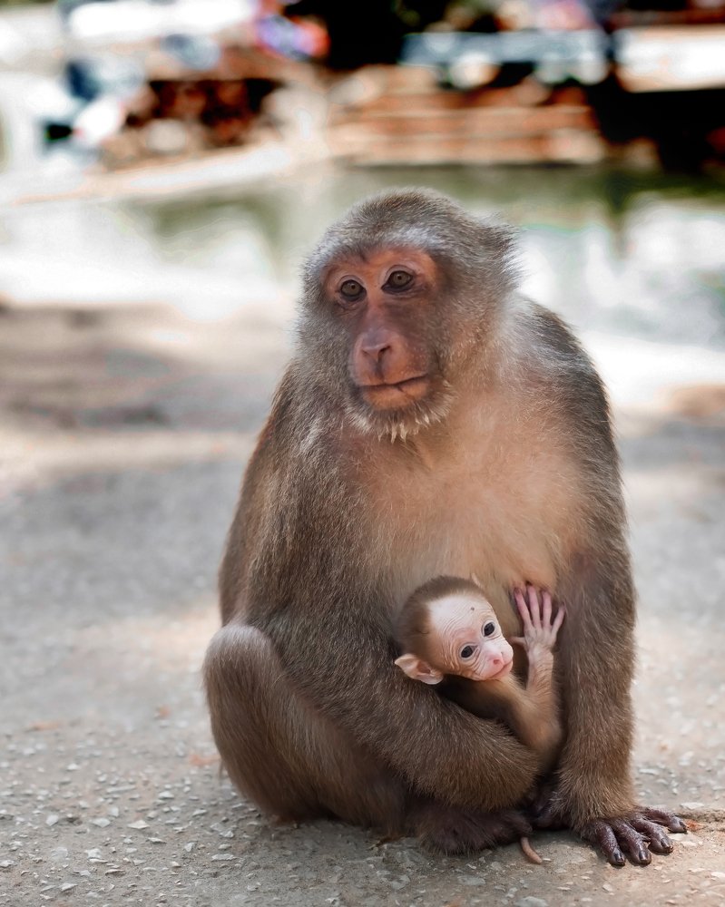 Photograph by Лилия Павлова