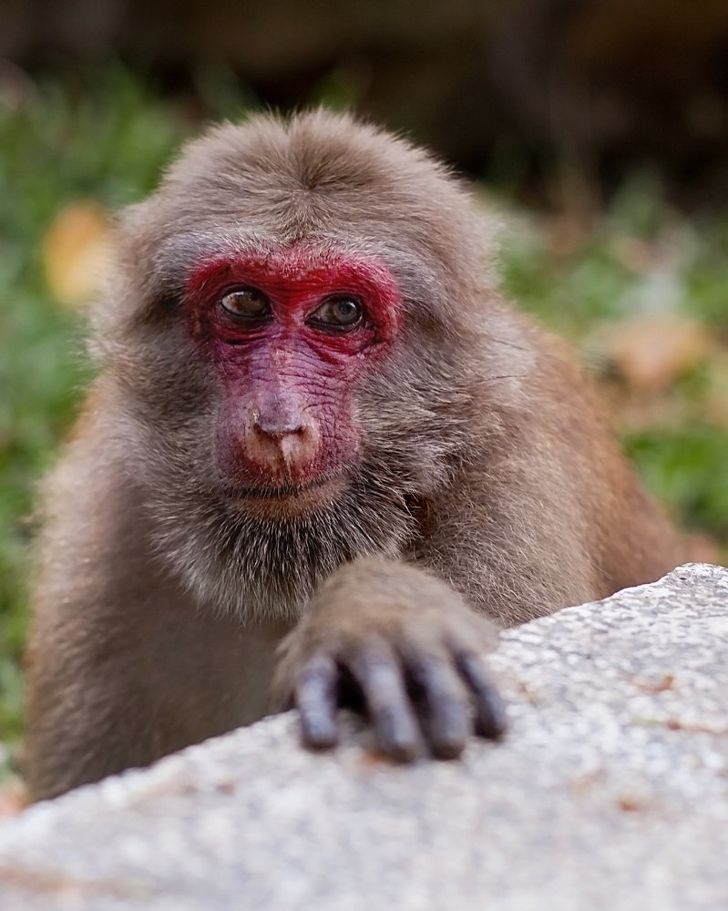 Photograph by Лилия Павлова