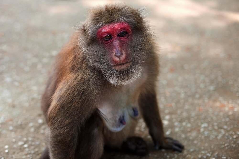 Photograph by Лилия Павлова