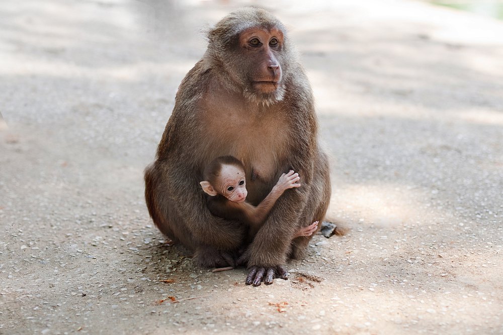 Photograph by Лилия Павлова