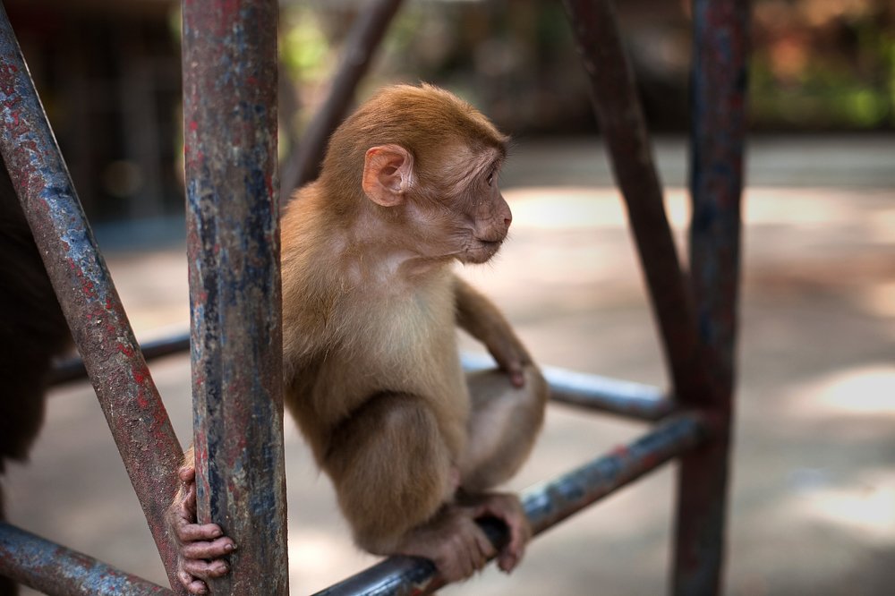 Photograph by Лилия Павлова