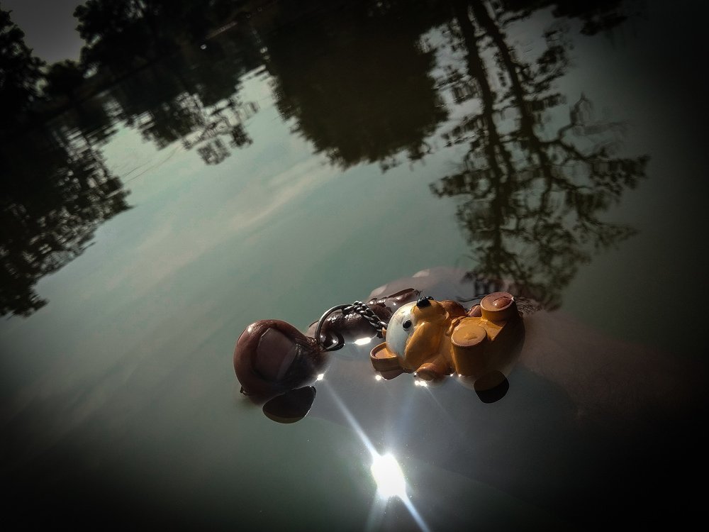 Photograph by Abhishek Sahu