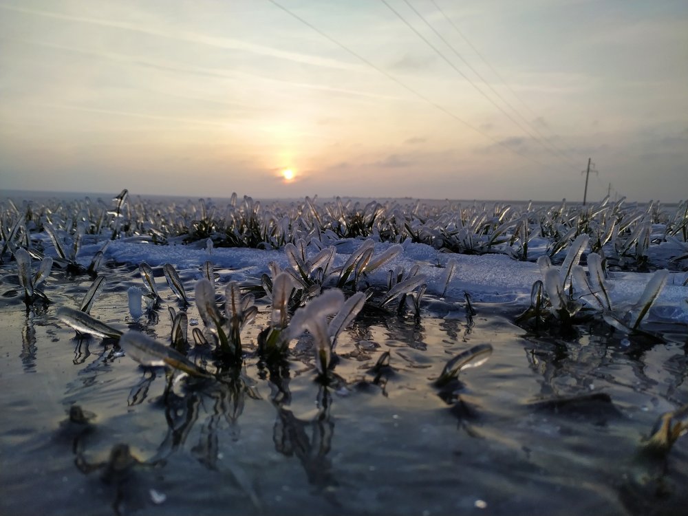 Photo #4075039