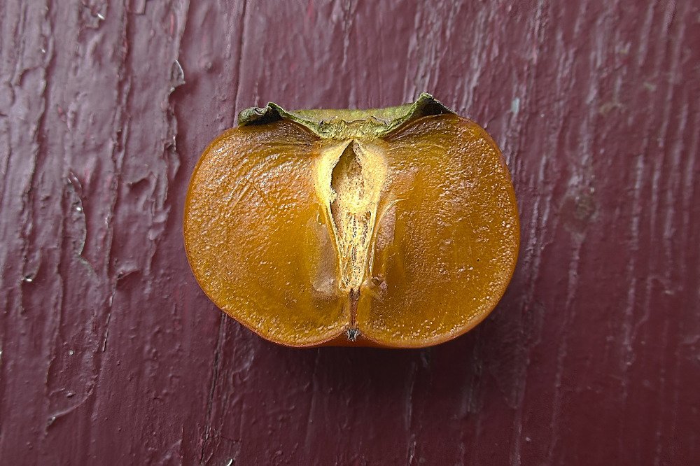 Photograph by Владислав Шигаев