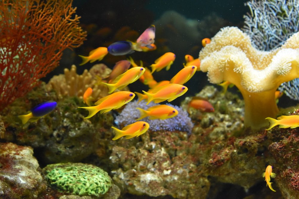 Photograph by Наталья Аржинт