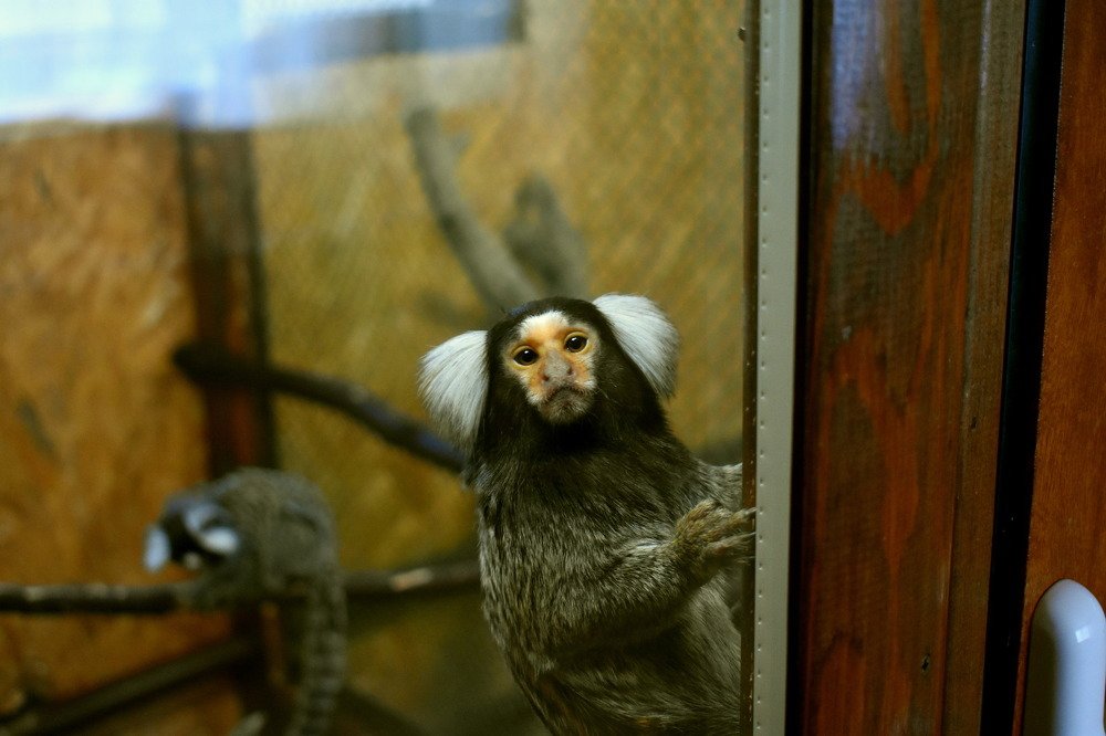 Photograph by Наталья Аржинт