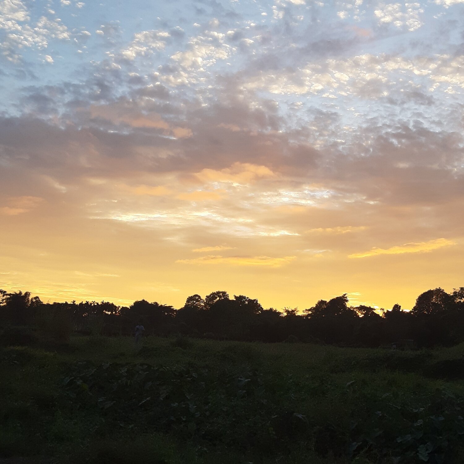 Photo #4075076