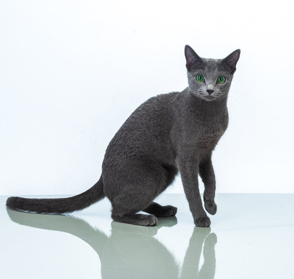 Photograph by Jelena Bogdanova