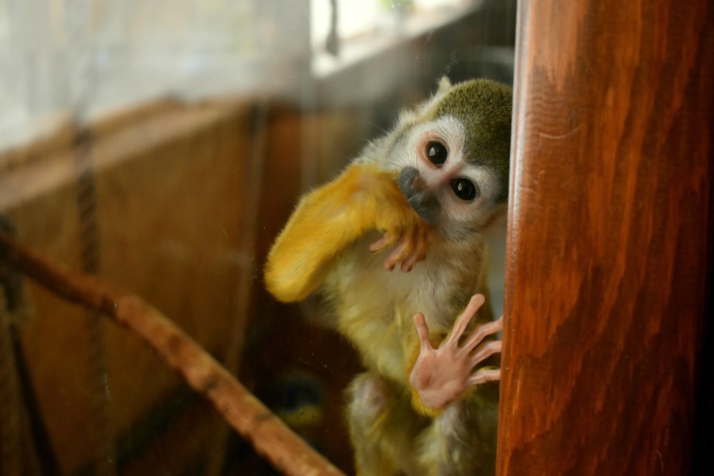 Photograph by Наталья Аржинт