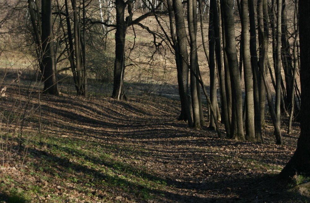 Photograph by Вадим Беляев