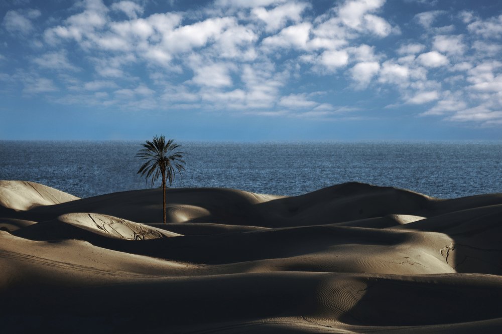 Photograph by Shahriar Dabiri