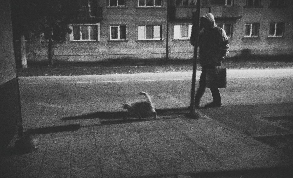 Photograph by Светлана Ковалёнок