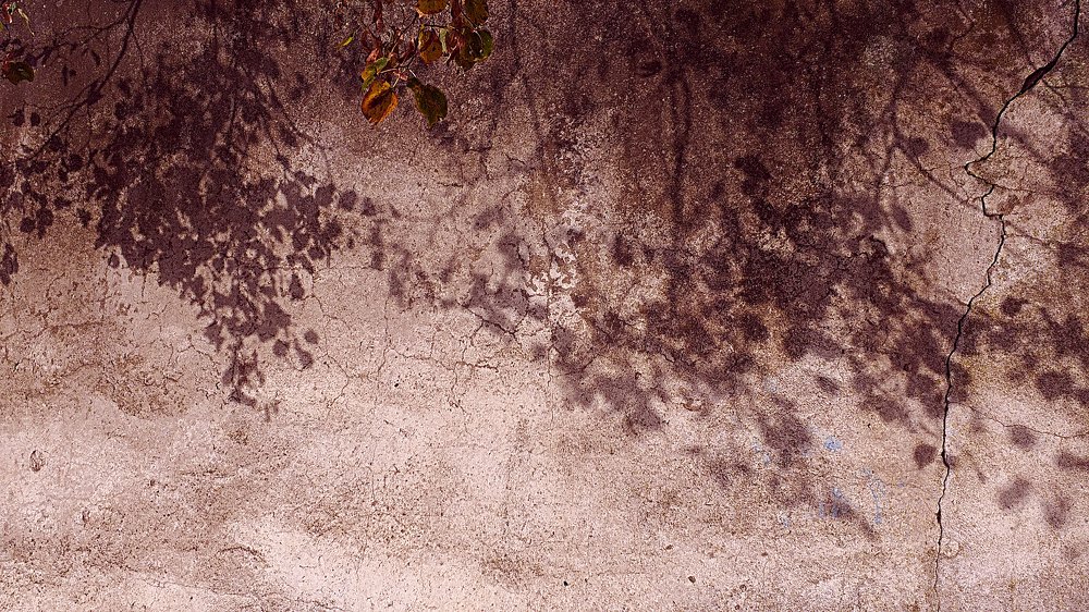 Photograph by Светлана Ковалёнок