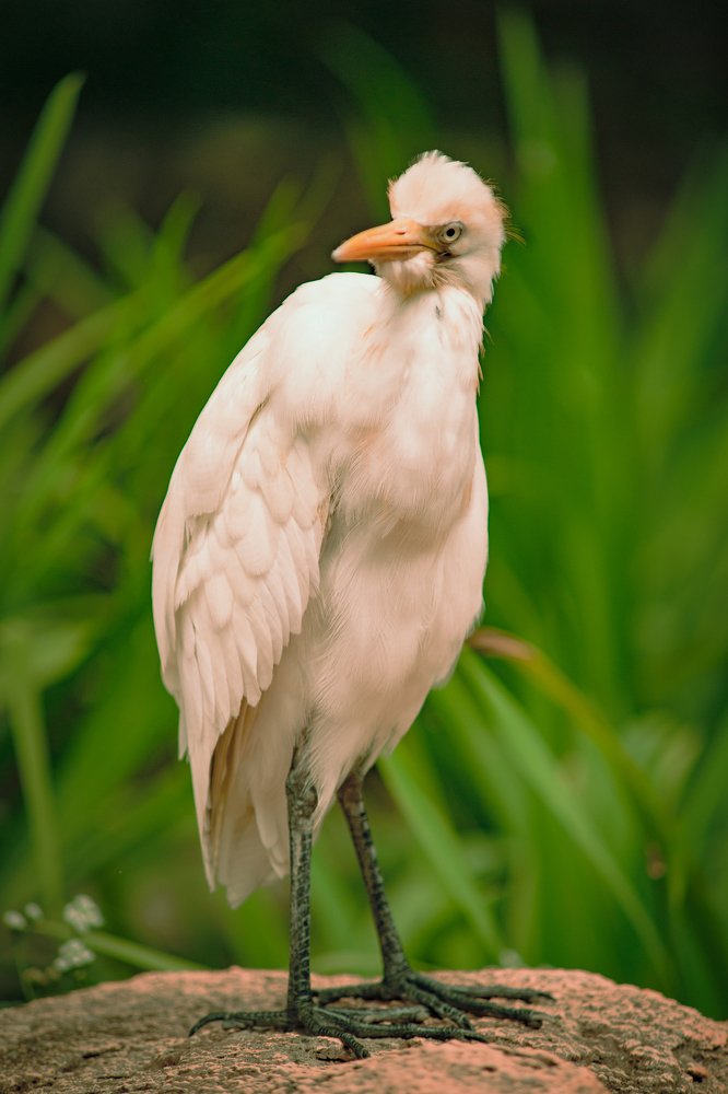 Фотография автора Олег Петреев