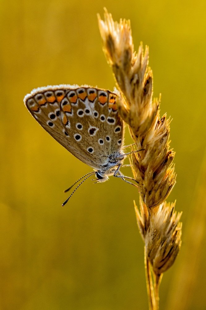 Photograph by zause01