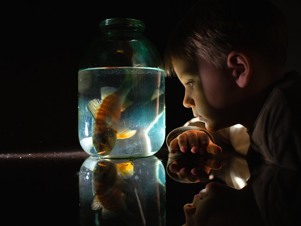 Photograph by Евгения Брусенцова