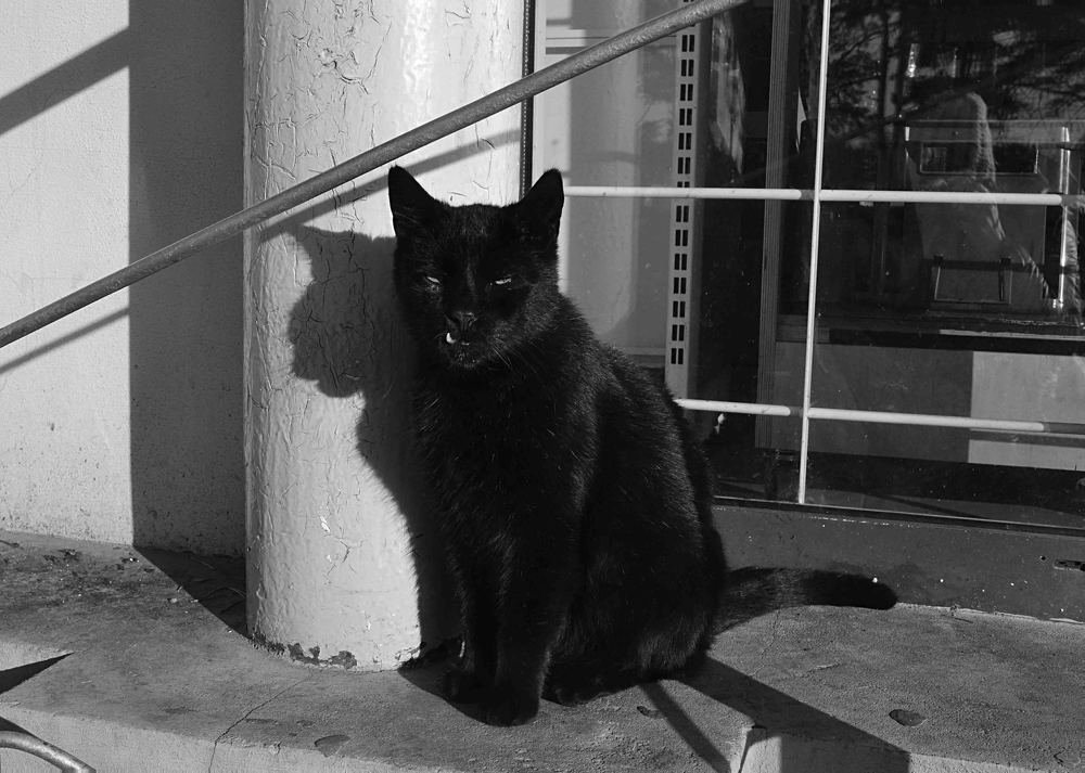 Photograph by Светлана Ковалёнок