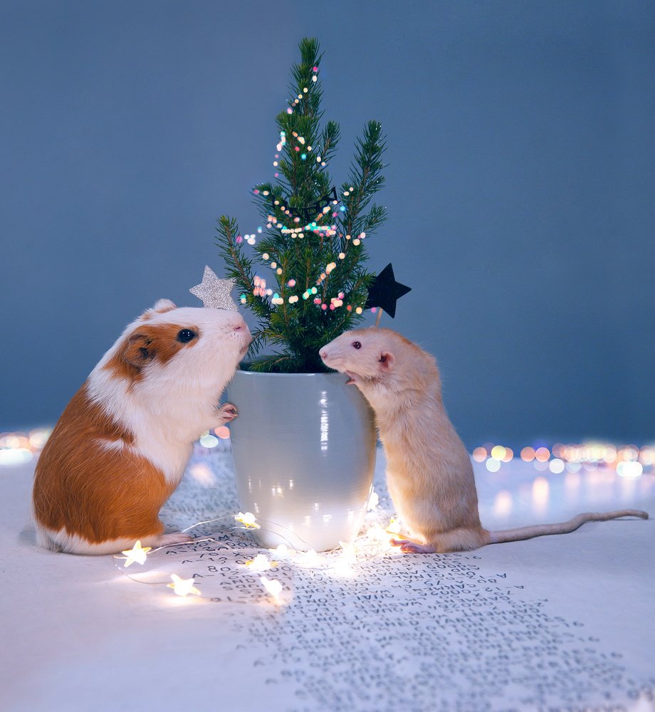 Photograph by Вера