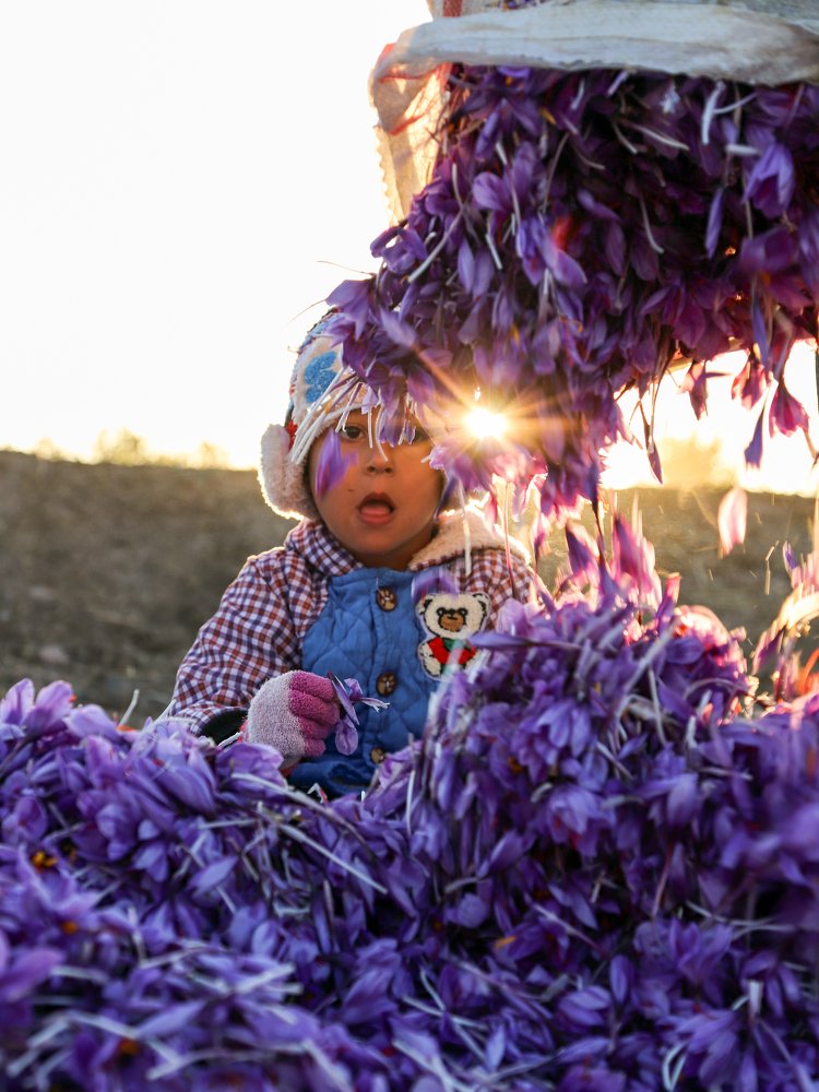 Photograph by Mehdi Sepehri