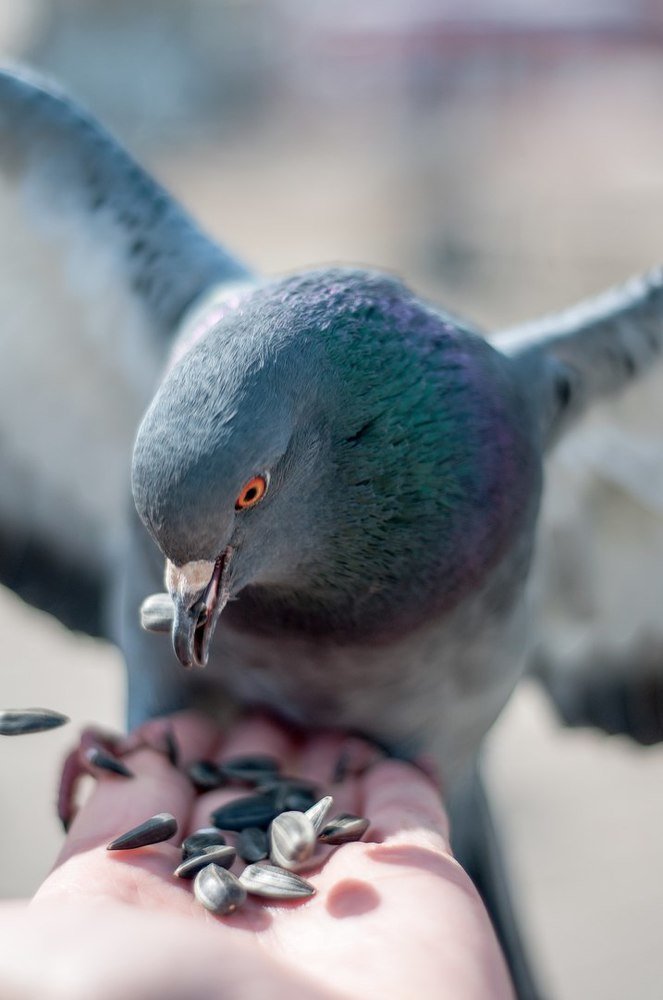 Photograph by Светлана Филипеня