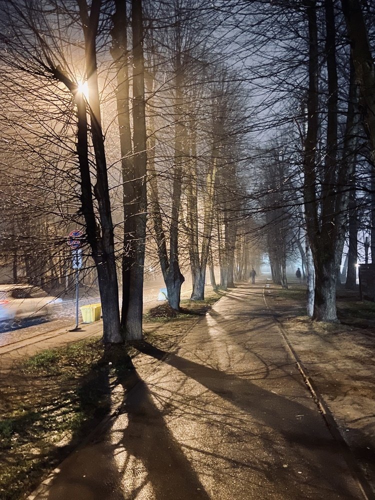 Утро в городе