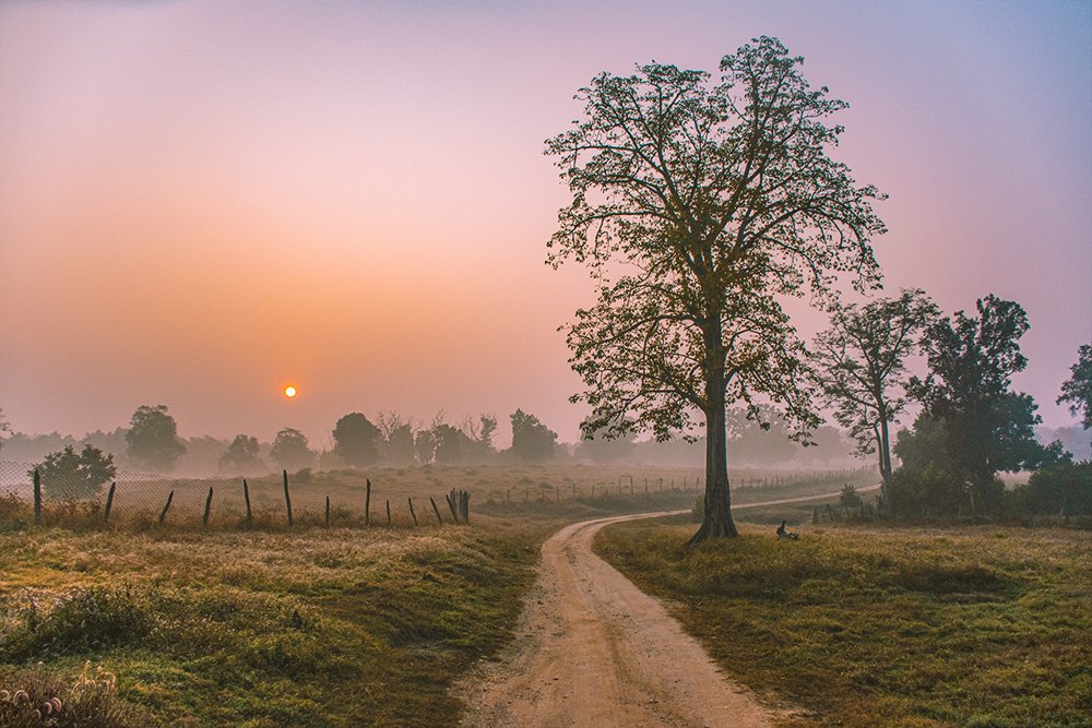 Photograph by Neeraj Gade
