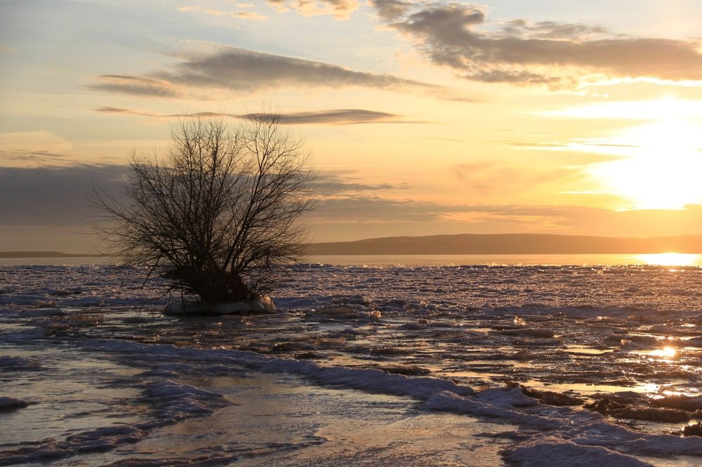 Photograph by Дмитрий