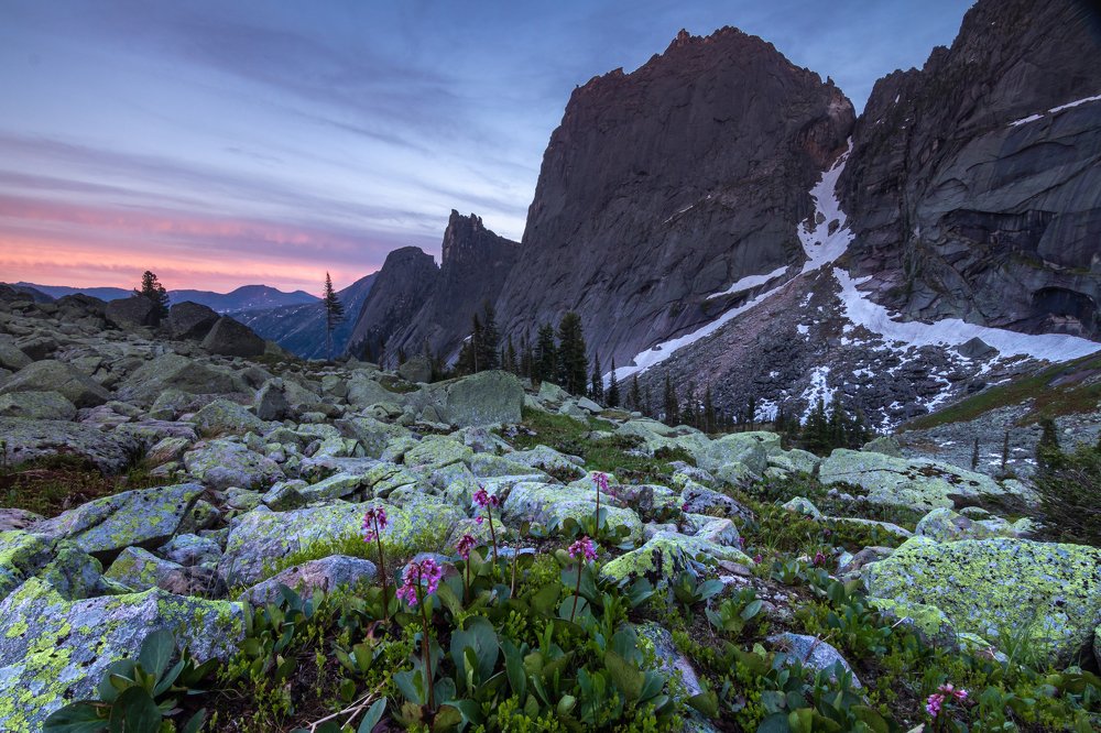 Фотография автора Nadezhda Okorokova