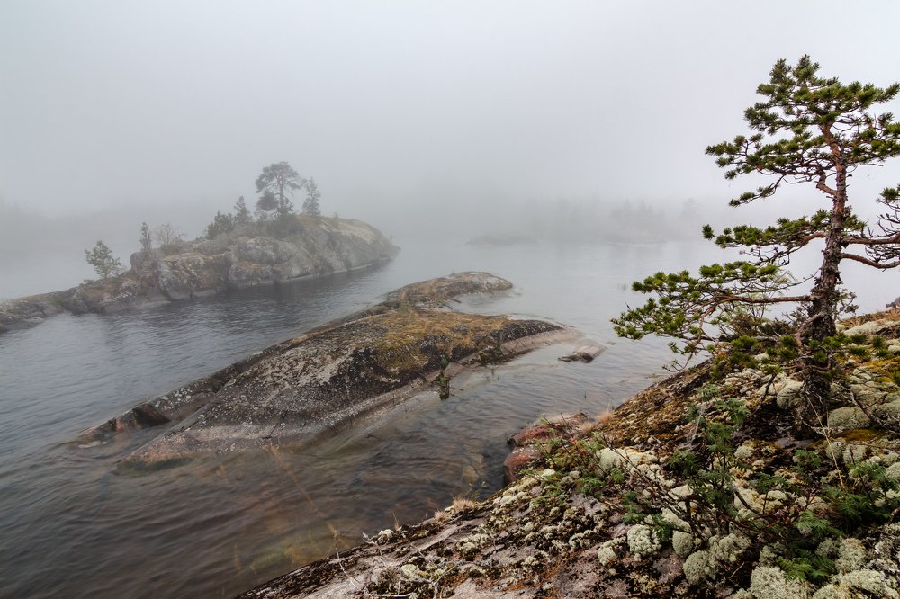 Фотография автора Nadezhda Okorokova