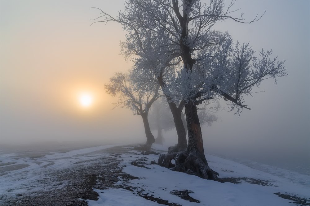 Photograph by Леонид Максименко