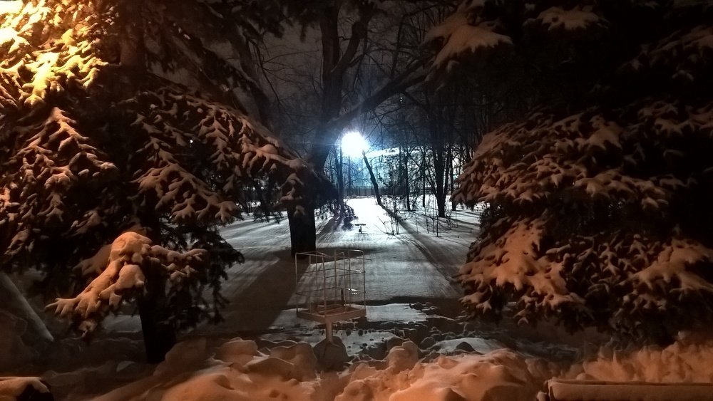 Photo #4075822