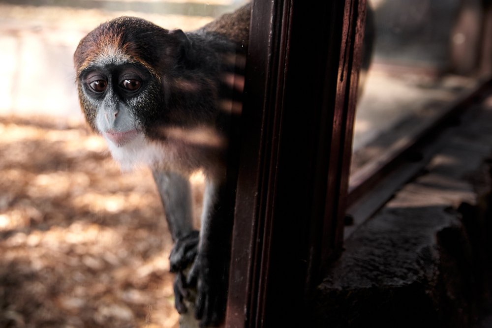 Photograph by Вадим Гудков
