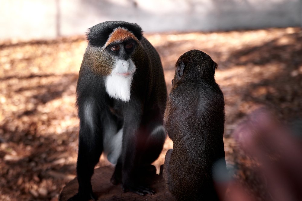 Photograph by Вадим Гудков