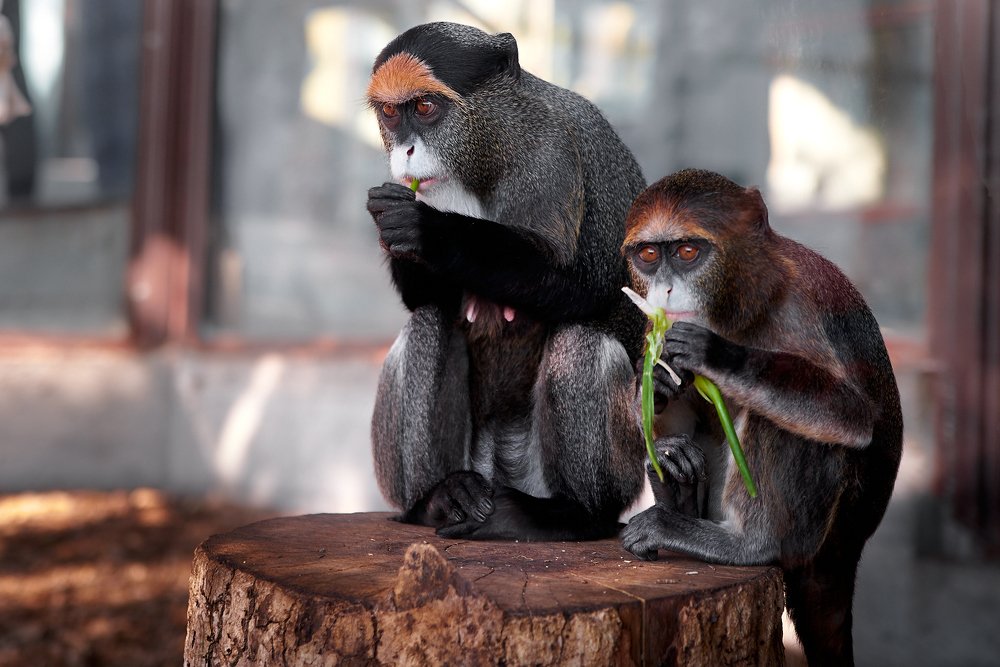 Photograph by Вадим Гудков