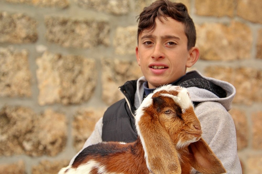 Photograph by Debbie Strauss