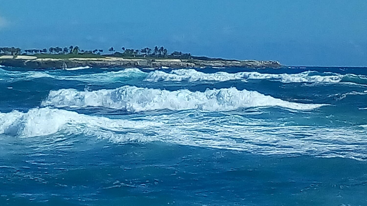 Caricias blancas.