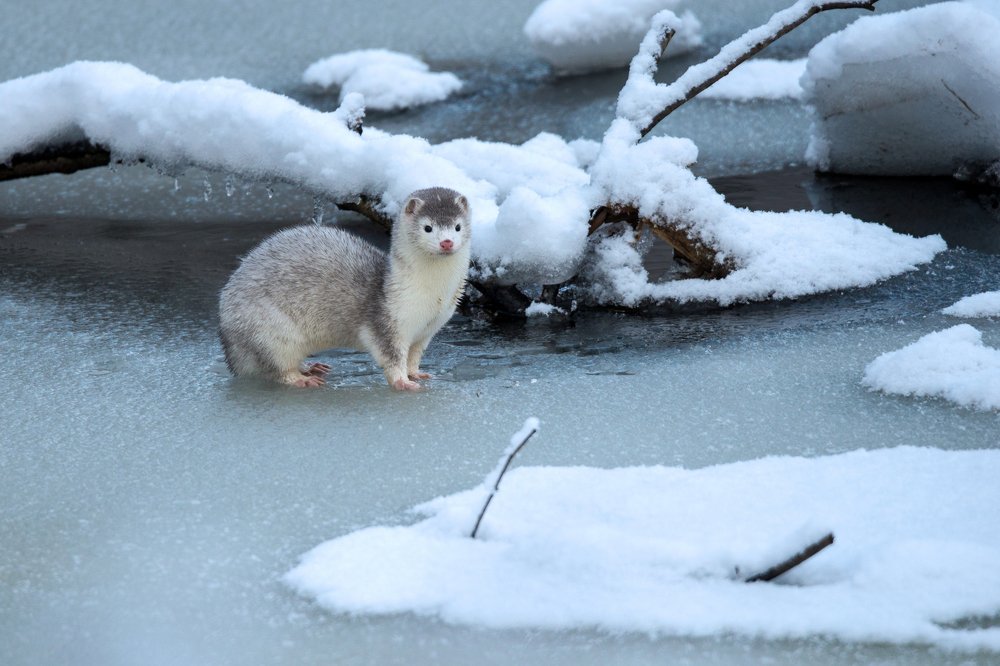 Photograph by Gatis Vilbrants